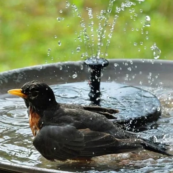 🔥Hot Sales 50% OFF🔥🔥Solar-powered bird fountains🐦️