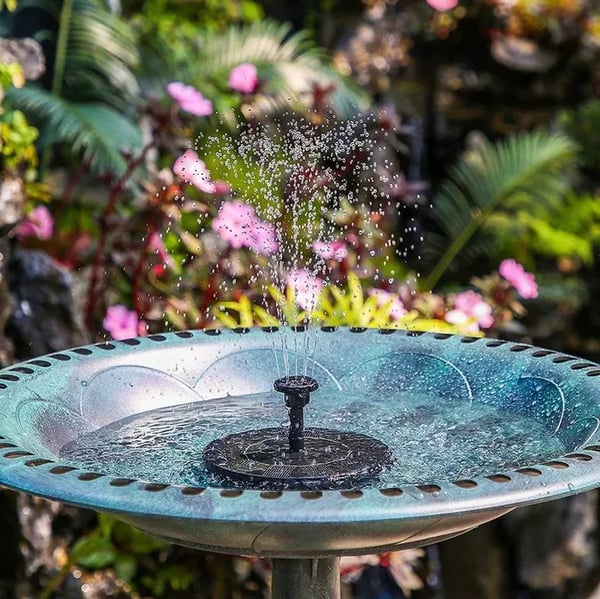 🔥Hot Sales 50% OFF🔥🔥Solar-powered bird fountains🐦️