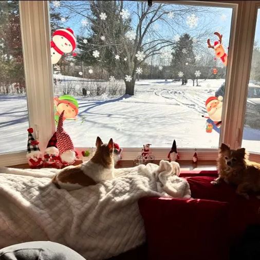 ❄Christmas Window Decals