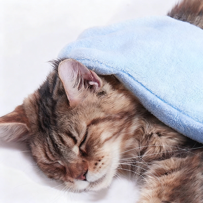No-Rinse Pet Bath Essence