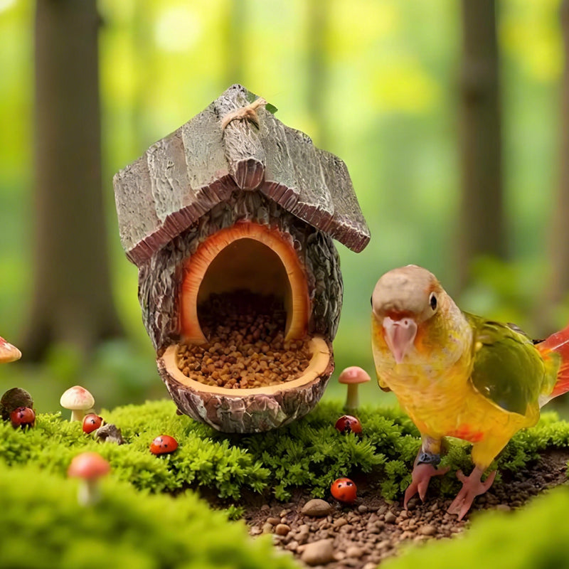 Outdoor Bird Feeder for Garden Decoration